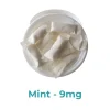 Nicotine Pouches - Mint (9mg)